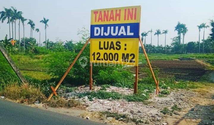 Dijual Tanah  Di Jl Alas Tua  Semanan Kalideres Jakarta Barat DKI JAKARTA  1