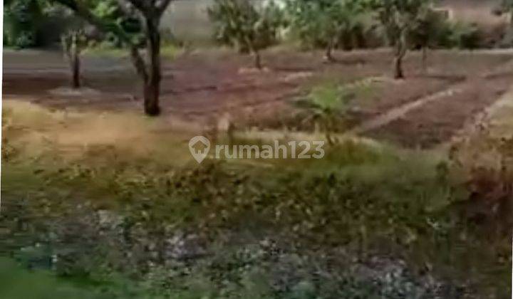 Tanah di Pakuhaji 2