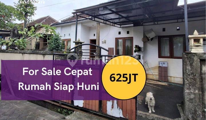 For Sale Quick 2-Story House Located on Jl. Siulan, East Denpasar