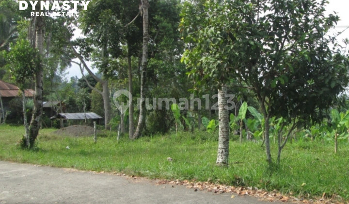 For Sale 3 Plots of Land in Berawa Area, Kuta For Sale 3 Plots of Land in Berawa Area, Kuta