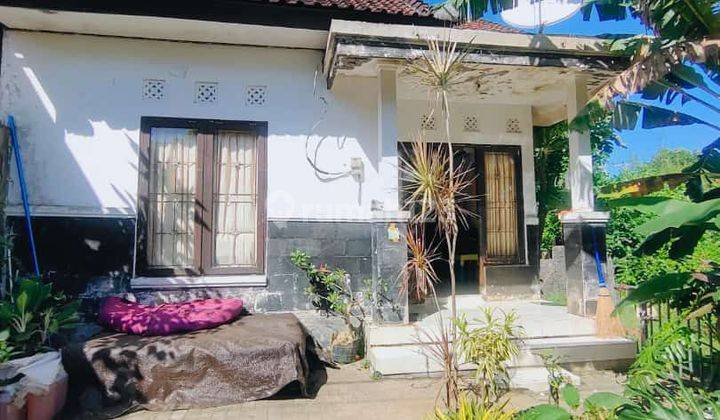 Dijual Cepat Rumah Murah Minimalis Area Nusa Dua 2