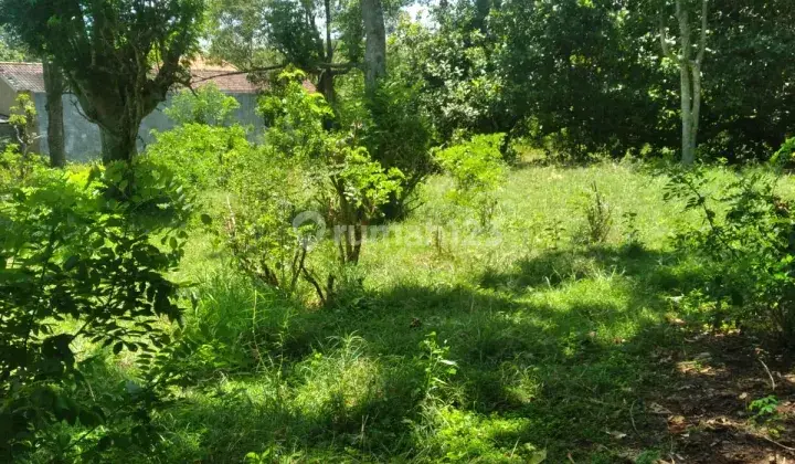 Dijual Tanah di Jimbaran cocok untuk dibangun villa 3