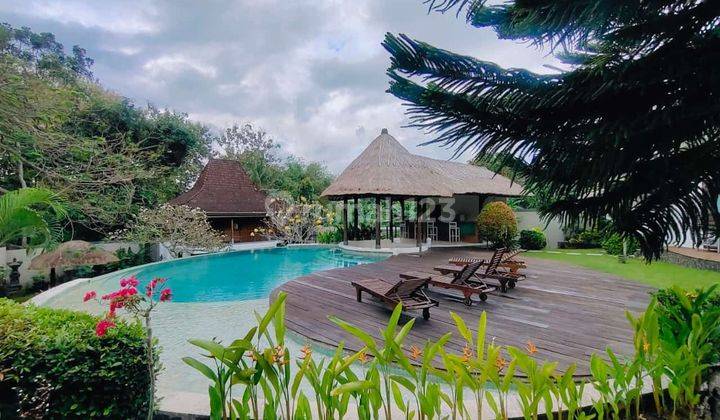 FOR SALE VILLA LUXURY DaN NyAman LOKASI PREMIUM & STRATEGIS DI CANGGU  1