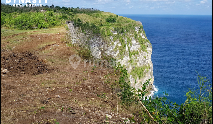 Dijual Tanah Dipinggir Tebing View Laut Dan Ubud di Nusa Penida Dijual Tanah Dipinggir Tebing View Laut Dan Ubud di Nusa Penida