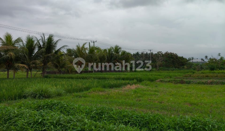 For Sale Tanahbdekat Panti Sesehan Munggu 