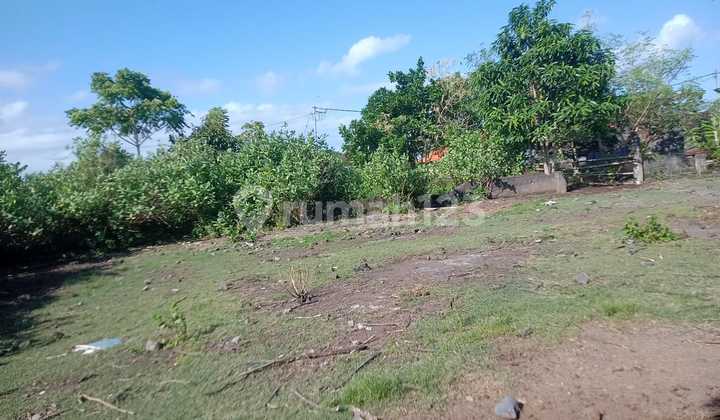 For Rent Strategically Located Land in North Denpasar
