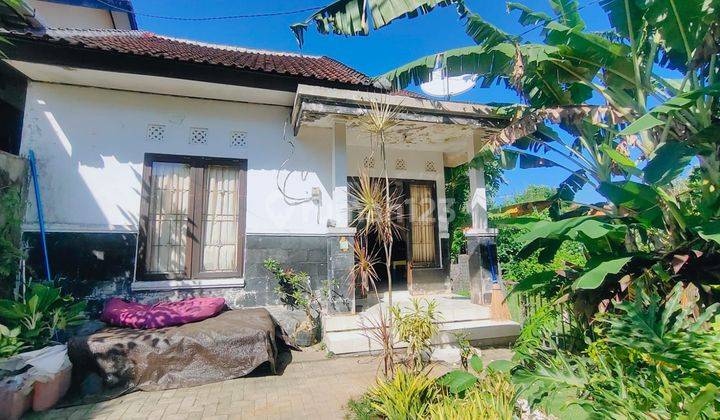 Dijual Cepat Rumah Murah Minimalis Area Nusa Dua 1