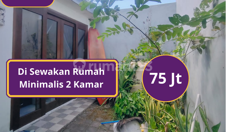 For Rent House Fast in Ubung North Denpasar For Rent House Fast in Ubung North Denpasar