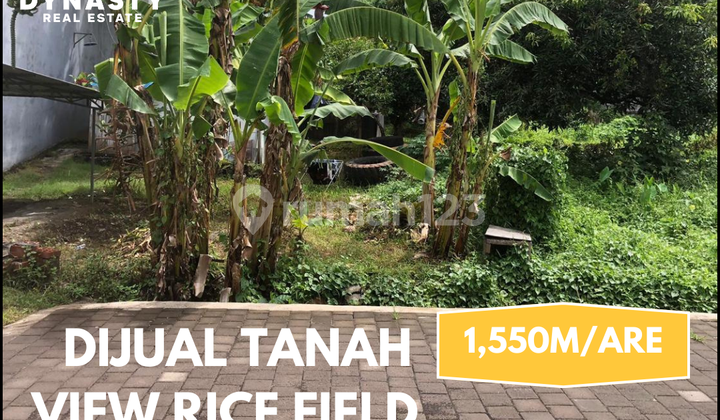 Dijual Tanah Dengan View Sawah di Canggu