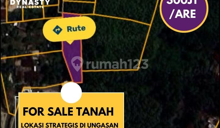 Tanah Murah Di Kutuh Ungasan Jimbaran Bali Tanah Murah Di Kutuh Ungasan Jimbaran Bali