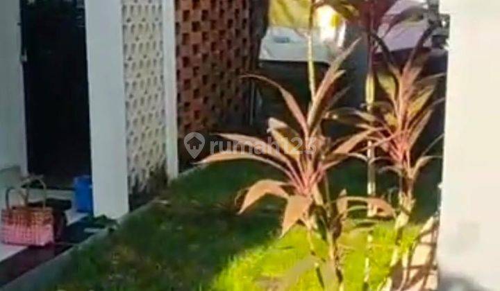 Di Jual Cepat Rumah Minimalis Di Tabanan Ye Gangga