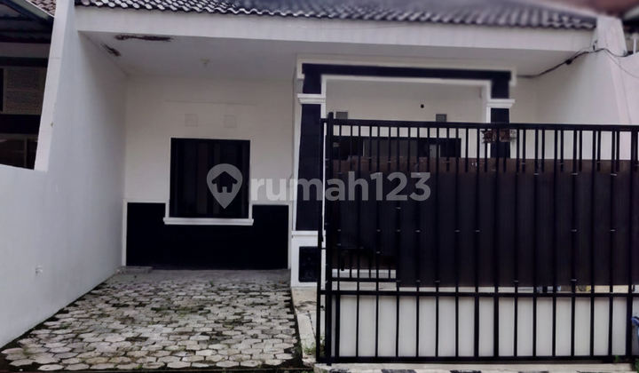 Disewa Rumah Baru Renovasi & Siap Huni Disewa Rumah Baru Renovasi & Siap Huni