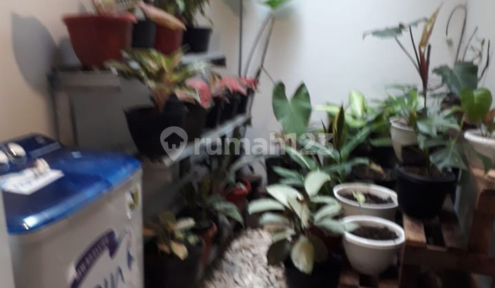 Rumah LT 119 Strategis Dekat Cibinong City Mall Bebas Banjir J5750 2