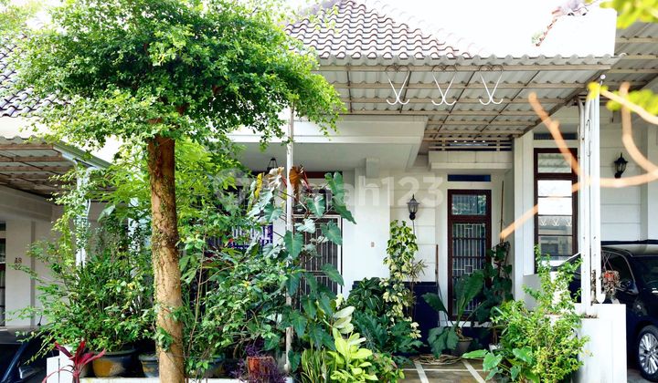 Rumah LT 119 Strategis Dekat Cibinong City Mall Bebas Banjir J5750 Rumah LT 119 Strategis Dekat Cibinong City Mall Bebas Banjir J5750