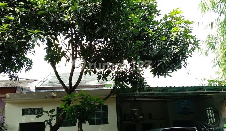 Rumah Asri SHM 15 Menit ke Siloam Hospitals Lippo Village Siap Huni J27749 1