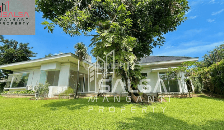 Dijual Cepat Rumah Cantik Taman Cantik Tanah Luas Tanah 1600 Meter Kamar Tidur 5 Parkiran Bisa 12 Mobil Bisa Tempat Tinggal Dan Kantor Dan Multifungsi Siap Huni Nego Harga Rp.35 M Area Kemang Ampera Jakarta Selatan  2