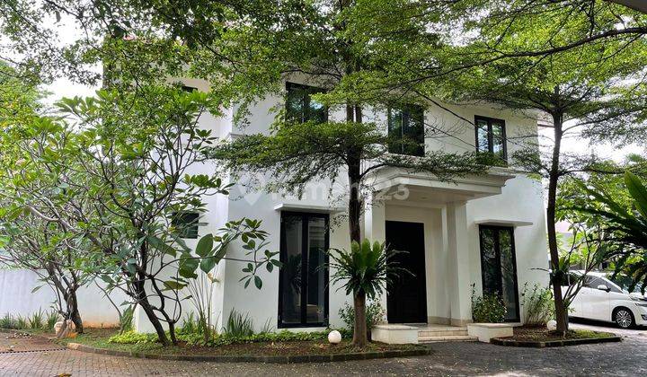 Disewakan Rumah Cantik Asri Tropical Garden Private Pool Siap Huni Dalam Compound Area Kemang Jakarta Selatan 2