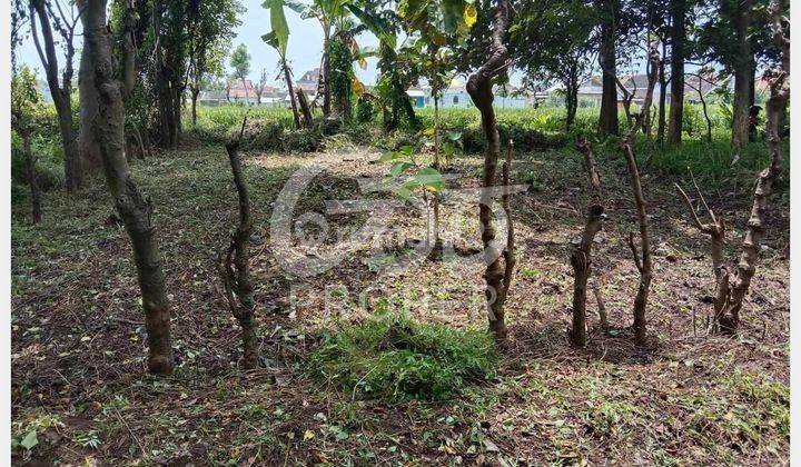 Jual Tanah 193 m2 Jl. Argopuro Barat Kademangan, Probolinggo 1