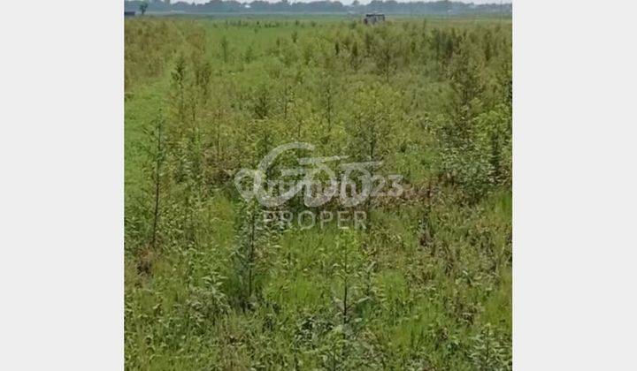 Jual Tanah Strategis 3090 m2 di Ngaken, Padangan, Bojonegoro 1