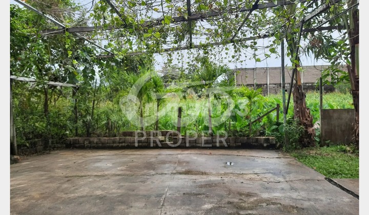 Jual Tanah Siap Pakai di Gang Selasih Pontianak Tenggara Pontianak Kalimantan Barat Jual Tanah Siap Pakai di Gang Selasih Pontianak Tenggara Pontianak Kalimantan Barat