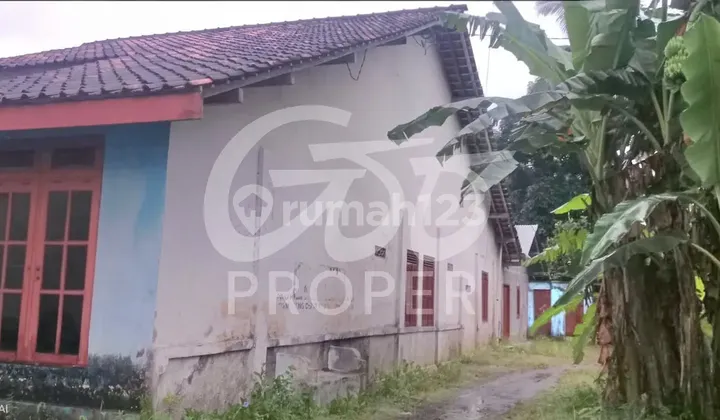 Jual Tanah Bonus Rumah Strategis di Jl. Dendeles Jogoboyo Kab. Kulonprogo Yogyakarta