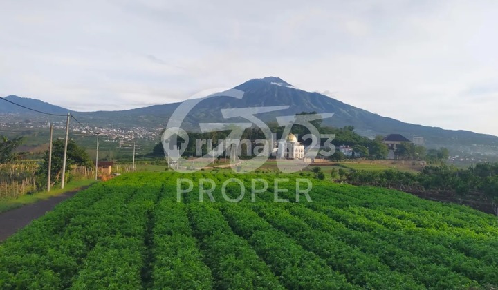 Jual Tanah Perkebunan Strategis di Torongrejo Junrejo Kota Batu Jawa Timur