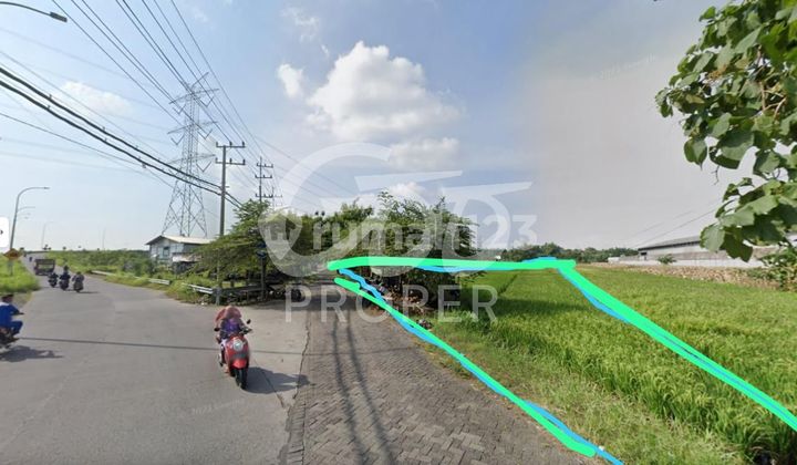 Jual Tanah 6456 m2 SHM di Driyorejo, Gresik 2