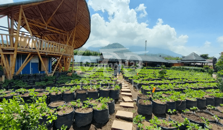 Ruang Usaha Dijual di Kawasan Cafe Sawah Krajan Pujon Kidul  2