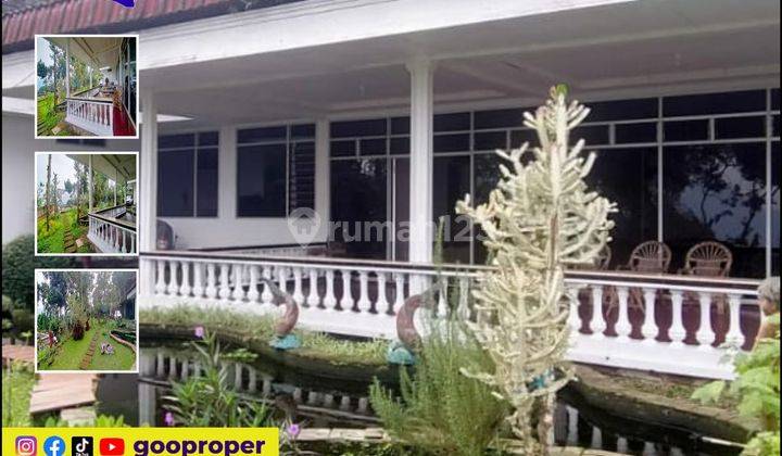 Jual Villa Bagus di Jl. Reco Lanang Trawas, Mojokerto 1