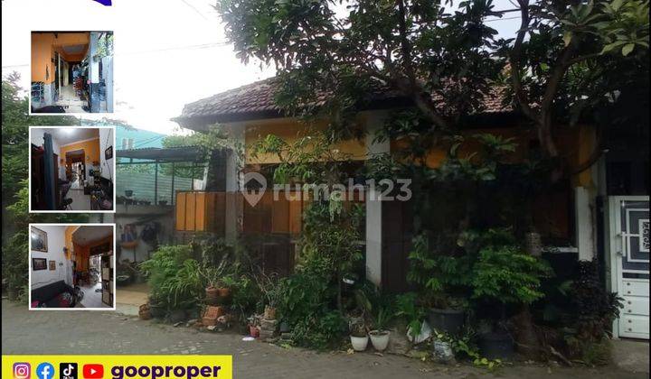 Jual Rumah Bagus SHM di Jl. Simpang Teluk Grajakan Malang 1