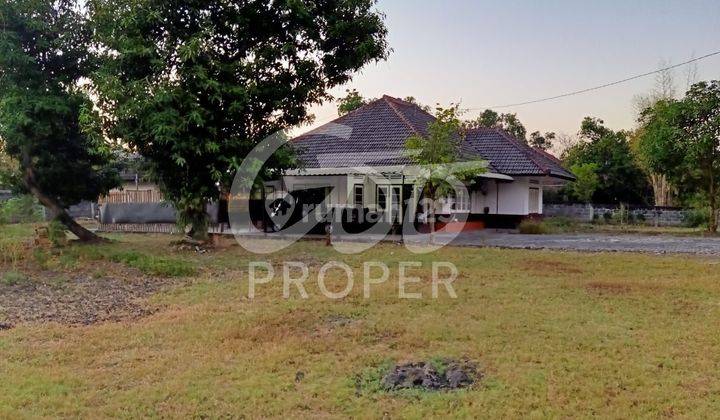 Jual Rumah Bergaya Vintage Cepu, Blora 1