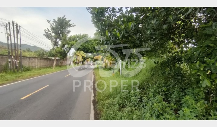 Jual Tanah Strategis 10150 m2 SHM di Seririt, Buleleng Bali 2