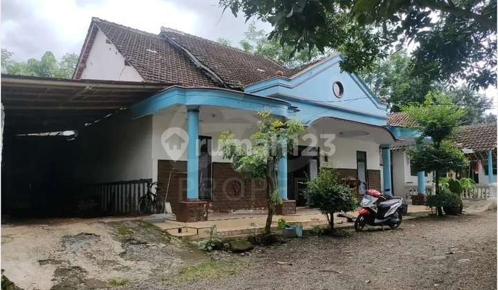 Comfortable House for Sale in Tanggul Wetan, Jember, East Java