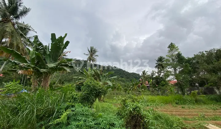 Tanah 19745 m2 SHM Kuranji, Padang