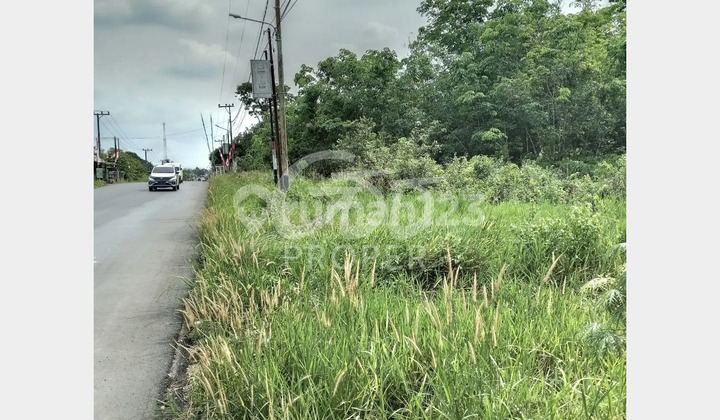 Jual Tanah Strategis Nol Jalan Daerah Bati-Bati Tanah Laut Kalimantan Selatan