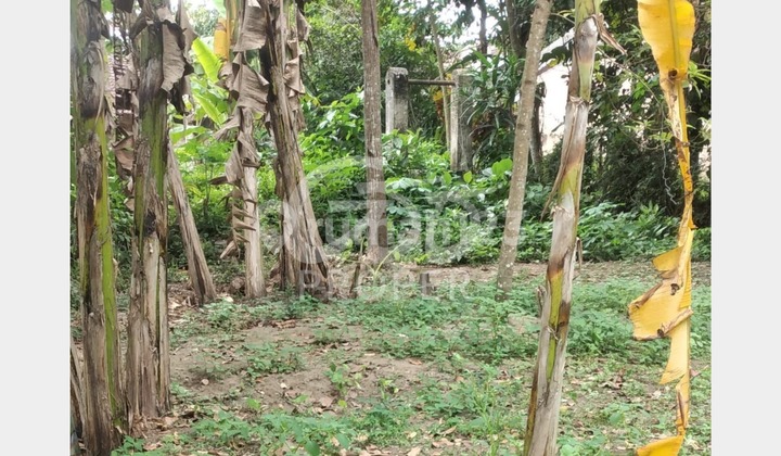 Land 130 m2 with SHM near UGM in Margomulyo Seyegan, Sleman Yogyakarta Land 130 m2 with SHM near UGM in Margomulyo Seyegan, Sleman Yogyakarta