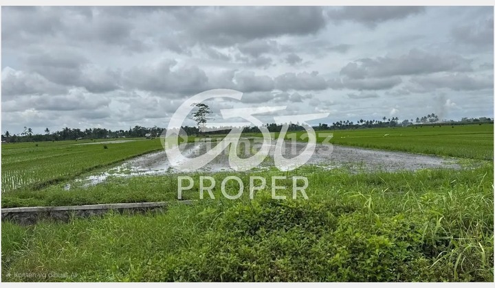 Jual Tanah Strategis di Perbatasan Karangduren Pakisaji Malang Regency Jawa Timur