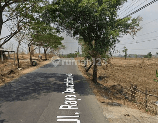 Jual Tanah SHM 3.883 m² di Jl. Raya Dawarbalndong, Mojokerto 2