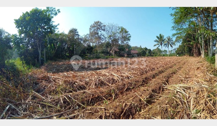 Jual Tanah Jl. Buring Sebelah Citra Garden City Kedungkandang Malang Jawa Timur