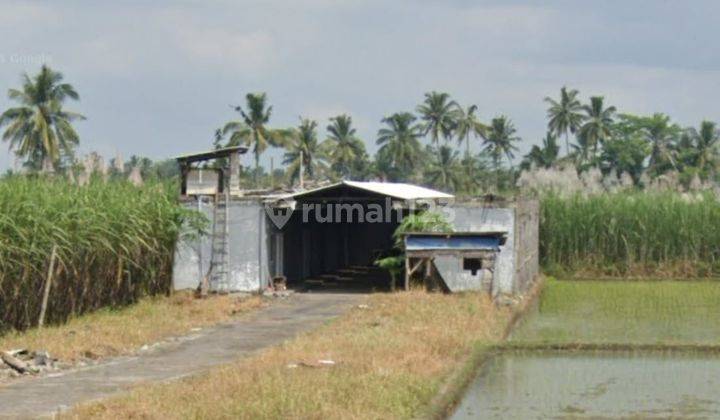 Rumah Kost di Jl. Kh Basuni Bululawang Malang, Malang 100 M SHM 2