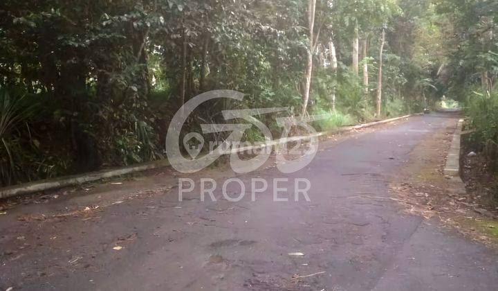 Tanah Dijual di Sukorini Klaten Jawa Tengah 1