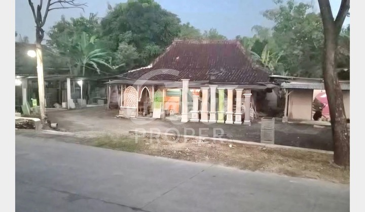 For Sale Land on Jl. Ngambon, Klubuk Village, Purwosari District, Bojonegoro Regency, East Java. For Sale Land on Jl. Ngambon, Klubuk Village, Purwosari District, Bojonegoro Regency, East Java.