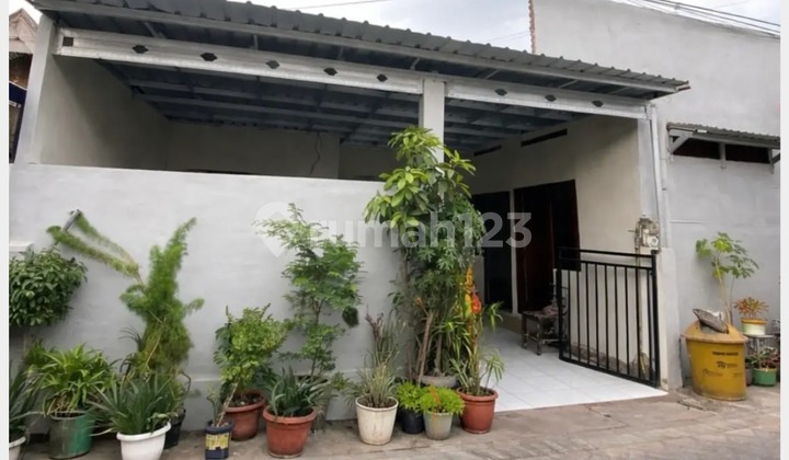 Jual Rukost Siap Huni di Jl. Kedondong Daerah Tegalsari Surabaya Jual Rukost Siap Huni di Jl. Kedondong Daerah Tegalsari Surabaya