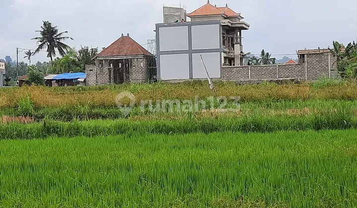 Selling Land 159 M2 with SHM, in Gianyar Bali
