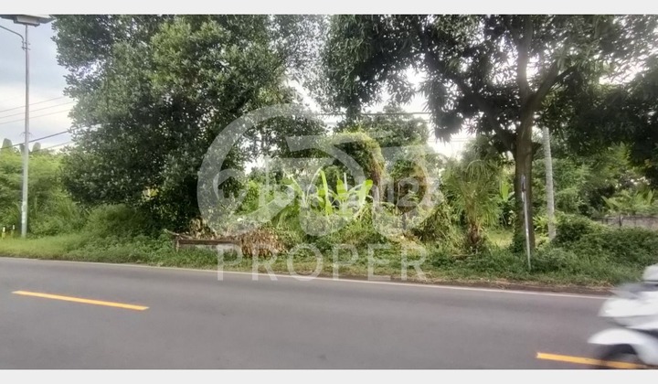 Jual Tanah Strategis 10150 m2 SHM di Seririt, Buleleng Bali 1