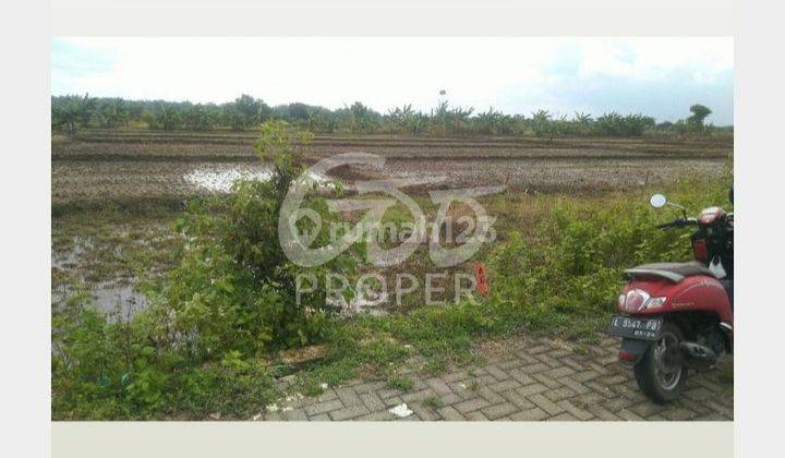 Tanah 72 m2 di Desa Slempit Kedamean, Gresik 2