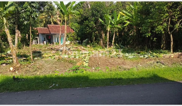 Land for Sale on the Road in Kebagusan Village, Ampelgading District, Pemalang, Central Java