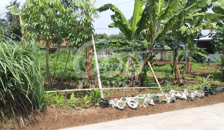 Tanah Lokasi Perumahan di Perumahan Gemilang Bogor Selatan, Bogor 1