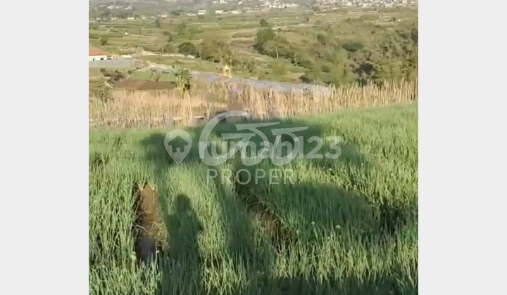Jual Tanah Persawahan Kawasan Wisata di Dusun Klerek Torongrejo Junrejo Kota Batu Jawa Timur (Nego) Jual Tanah Persawahan Kawasan Wisata di Dusun Klerek Torongrejo Junrejo Kota Batu Jawa Timur (Nego)