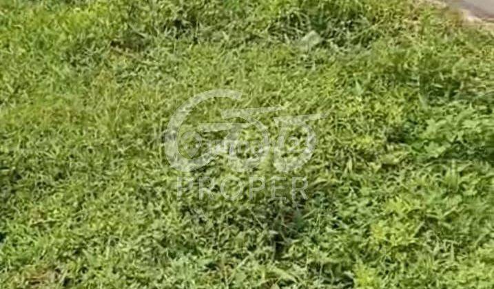 Jual Tanah Strategis 3090 m2 di Ngaken, Padangan, Bojonegoro 2